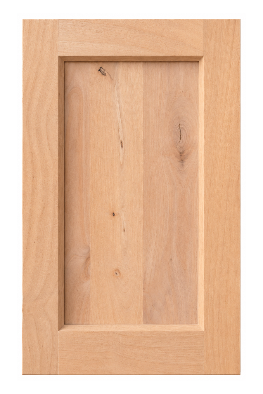 Bevel Shaker cabinet door