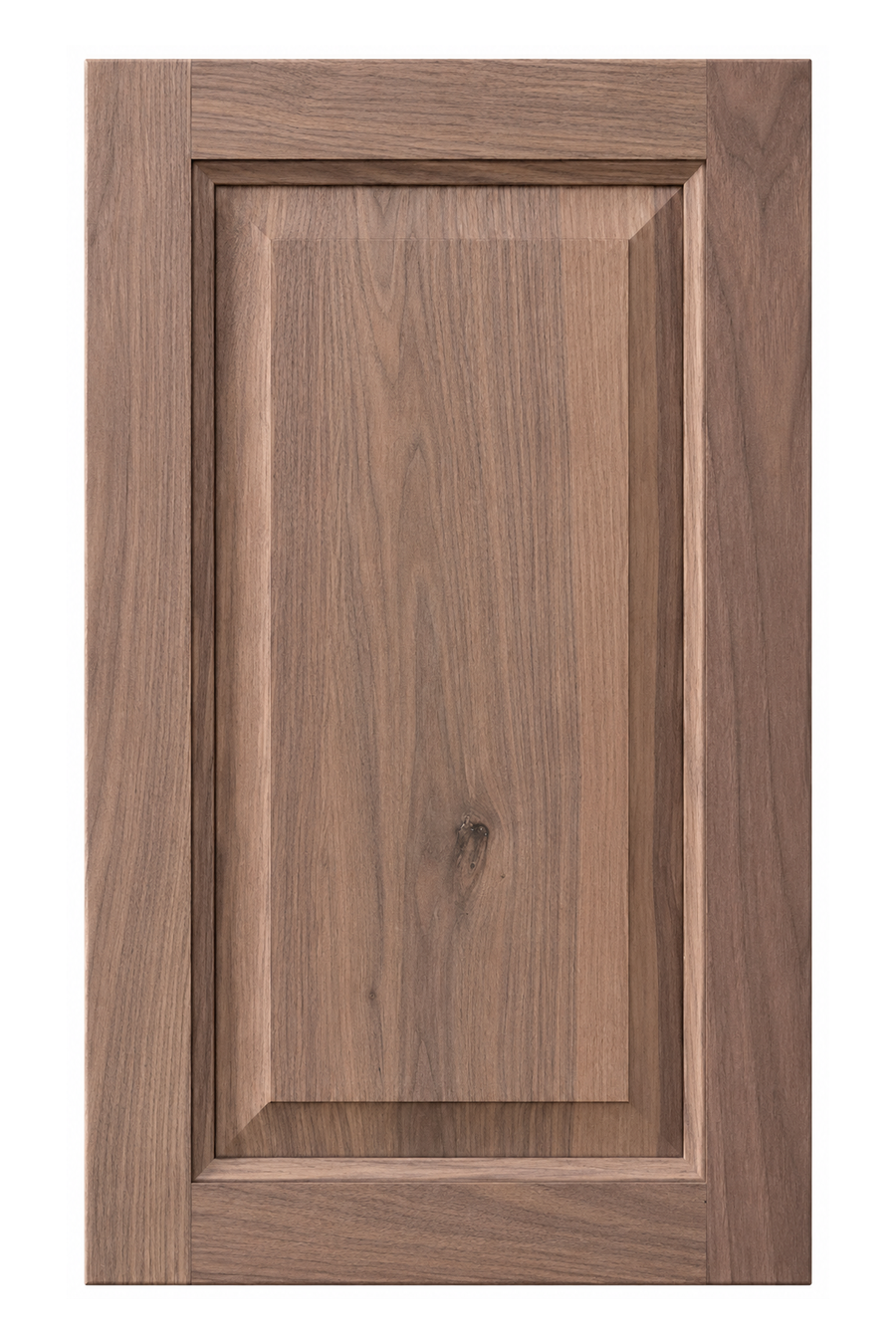 Raised Panel cabinet door